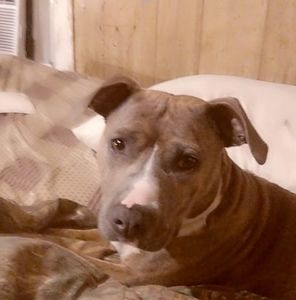 Meet your Posher, Keith